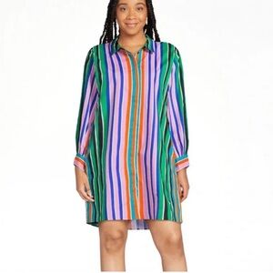 Striped Multicolor Shirt Dress
